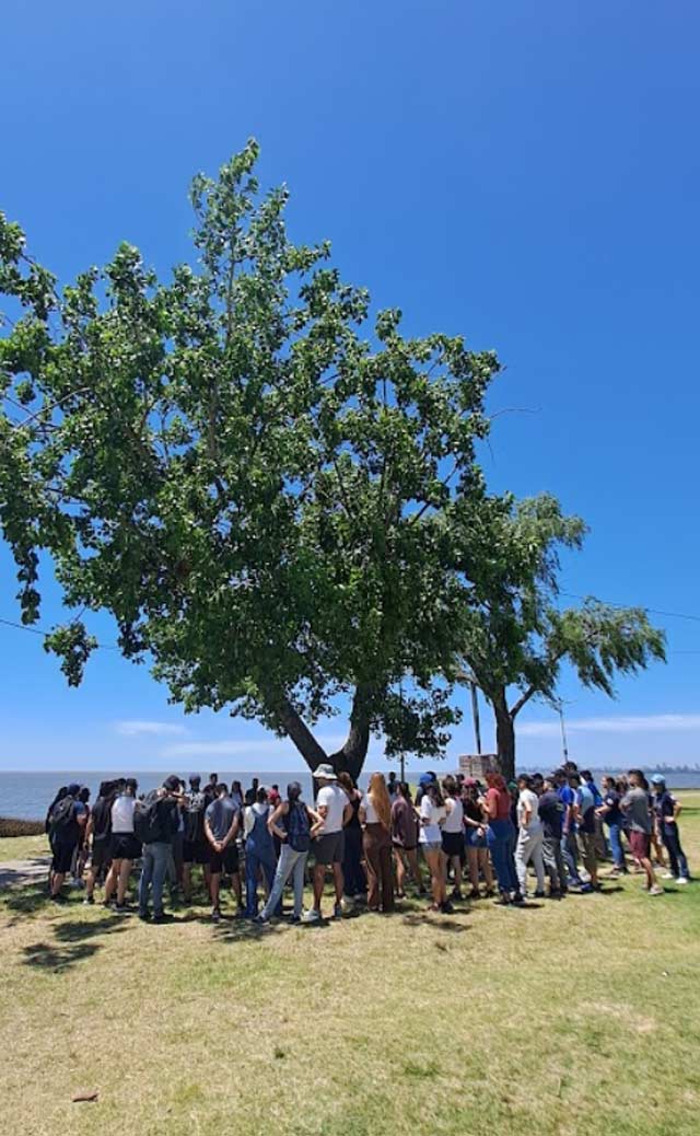 voluntariado corporativo de plantación