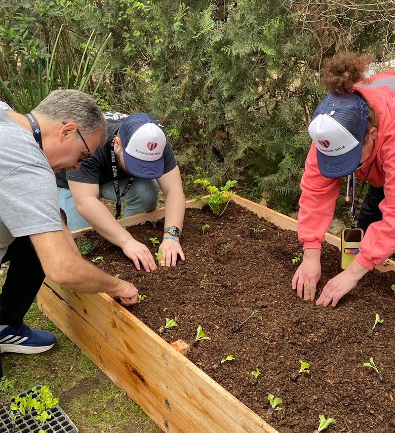 Plantación con empresas voluntariado