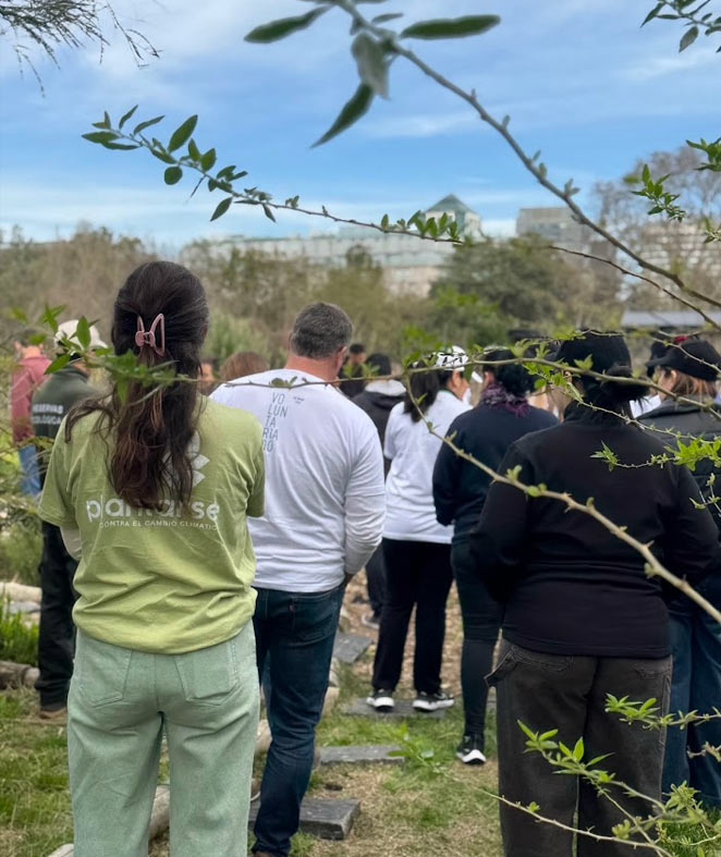 Plantación con YPF Luz sustentabilidad